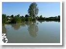 Horg_vers_2007_063