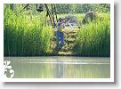 Horg_vers_2007_065