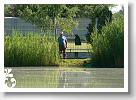 Horg_vers_2007_070