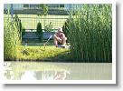 Horg_vers_2007_074