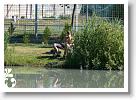 Horg_vers_2007_075
