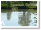 Horg_vers_2007_078