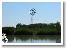 Horg_vers_2007_080