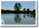 Horg_vers_2007_088