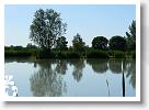 Horg_vers_2007_089