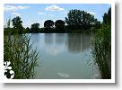 Horg_vers_2007_143