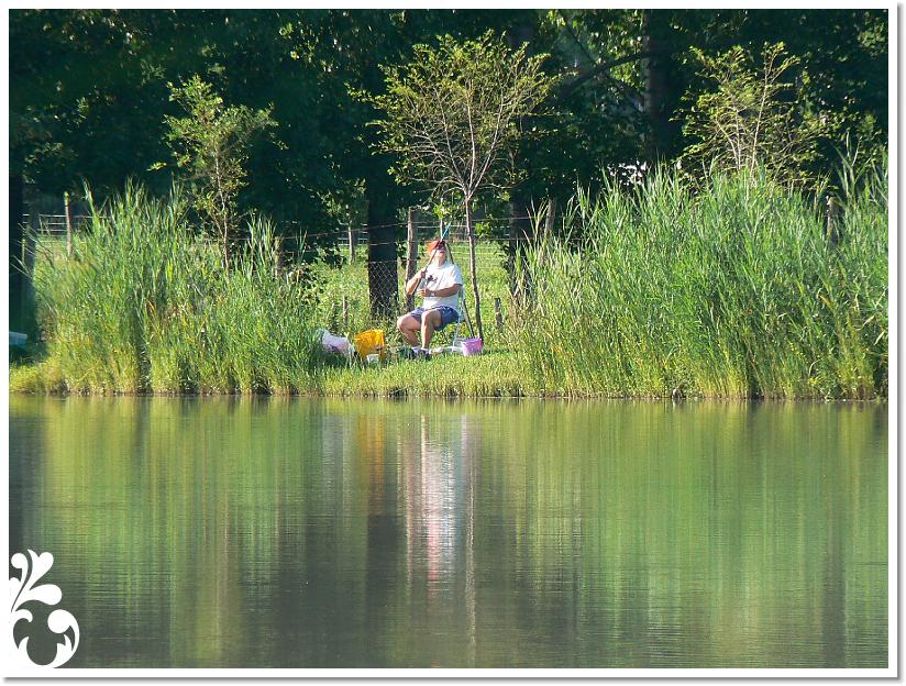 Horgaszverseny_2008_05