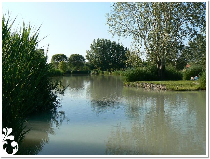 Horgaszverseny_2008_10