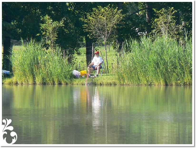 Horgaszverseny_2008_11