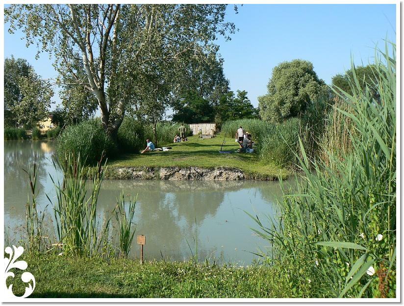 Horgaszverseny_2008_14