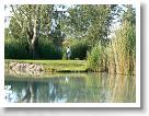 Horgaszverseny_2008_01