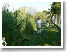 Horgaszverseny_2008_06