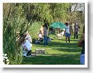 Horgaszverseny_2008_07