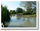 Horgaszverseny_2008_10