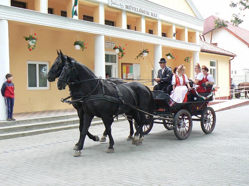 Szureti_Felvonulas_2010_011