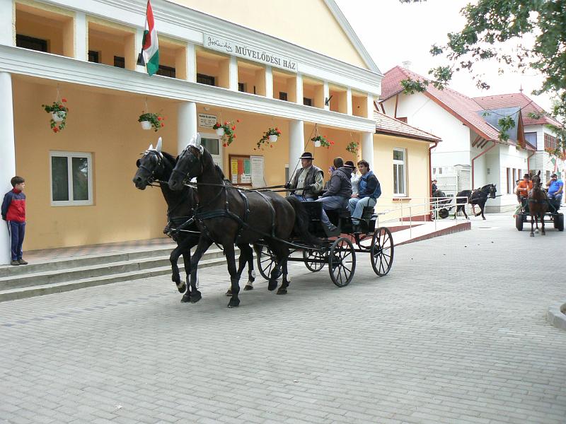Szureti_Felvonulas_2010_013