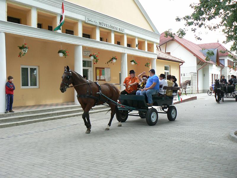 Szureti_Felvonulas_2010_014