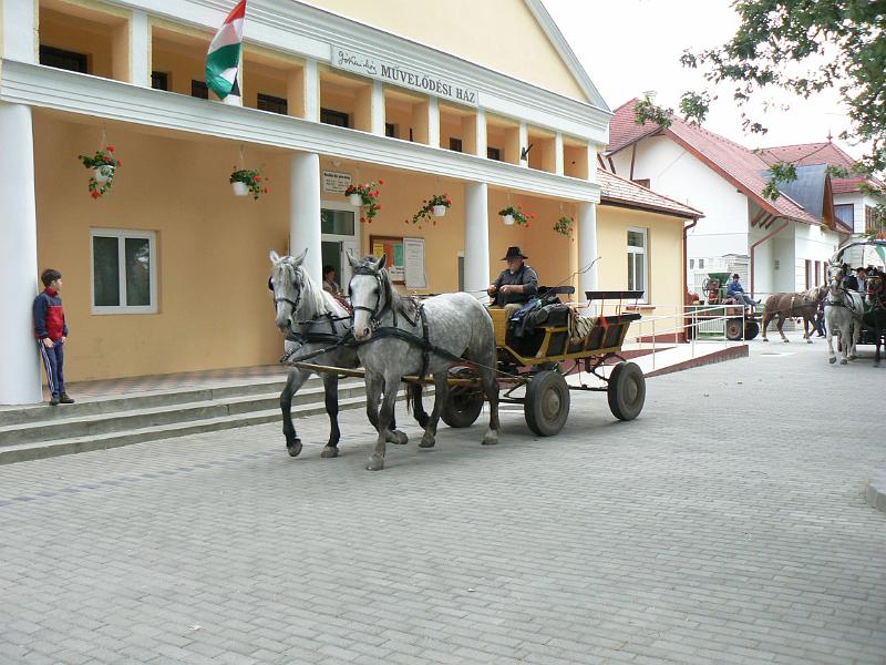 Szureti_Felvonulas_2010_019