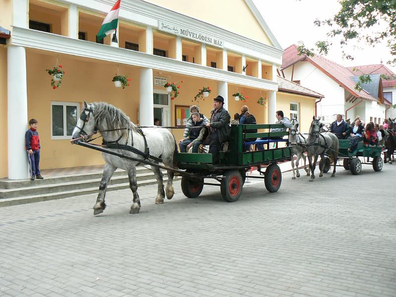 Szureti_Felvonulas_2010_024