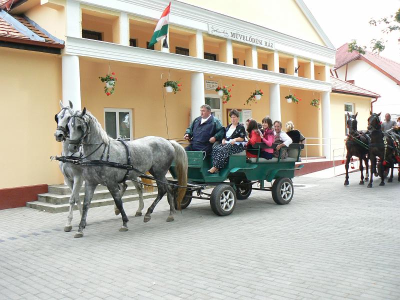 Szureti_Felvonulas_2010_025