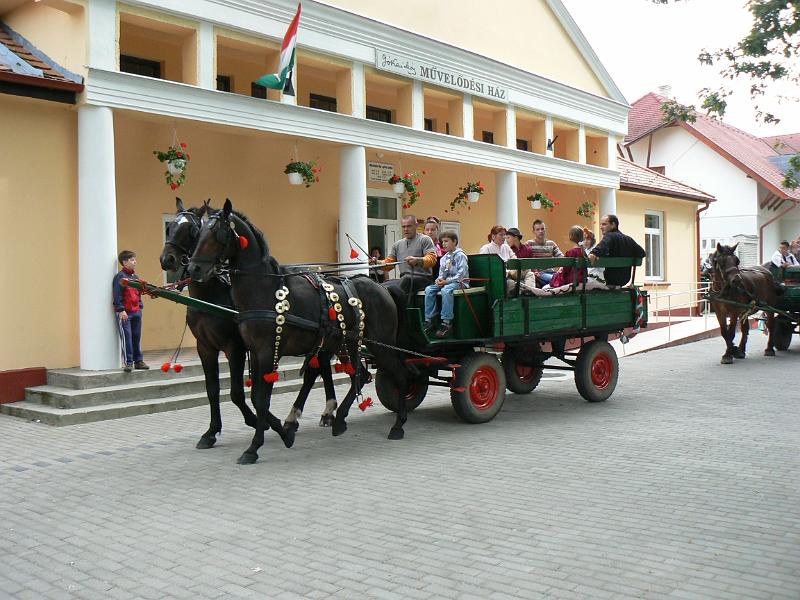 Szureti_Felvonulas_2010_026