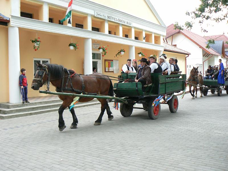 Szureti_Felvonulas_2010_027