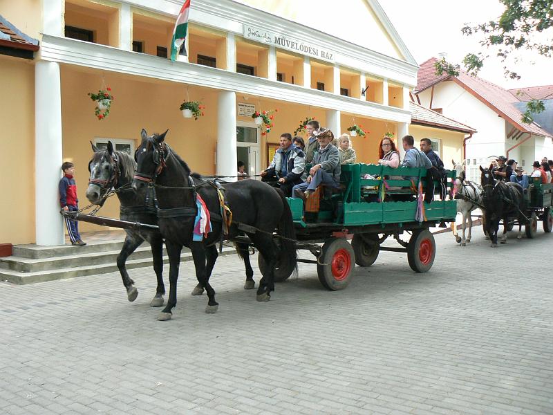 Szureti_Felvonulas_2010_029