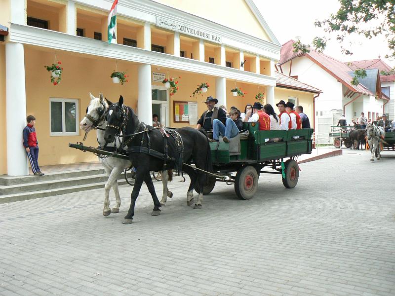Szureti_Felvonulas_2010_030