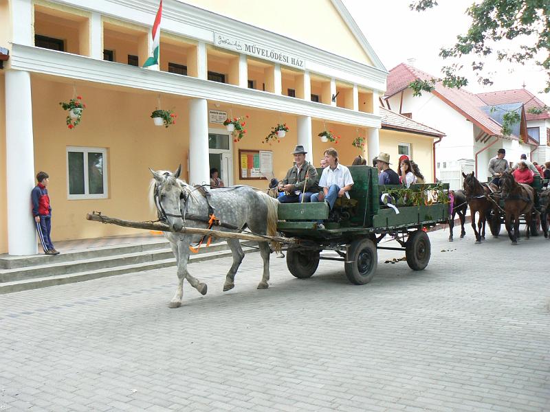Szureti_Felvonulas_2010_031