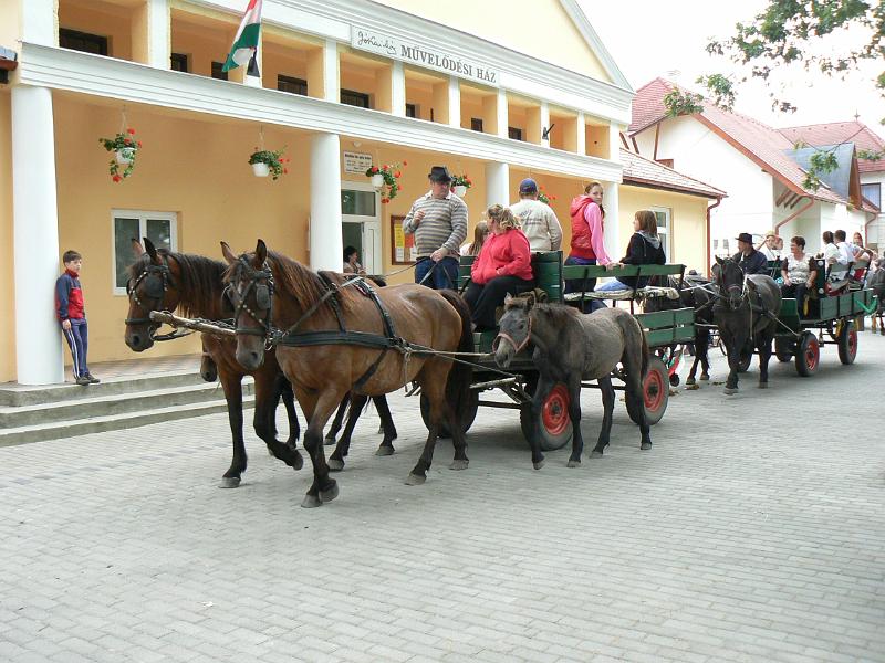 Szureti_Felvonulas_2010_032