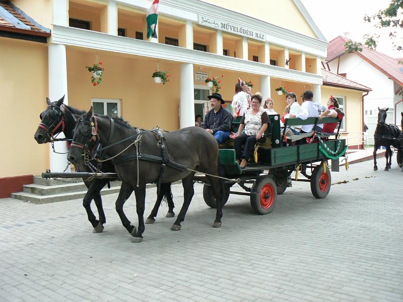 Szureti_Felvonulas_2010_033