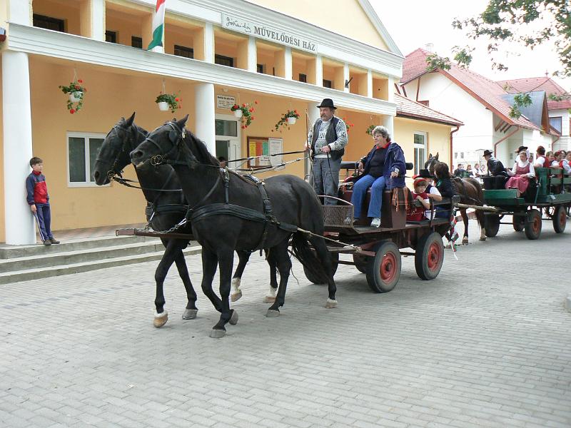 Szureti_Felvonulas_2010_036