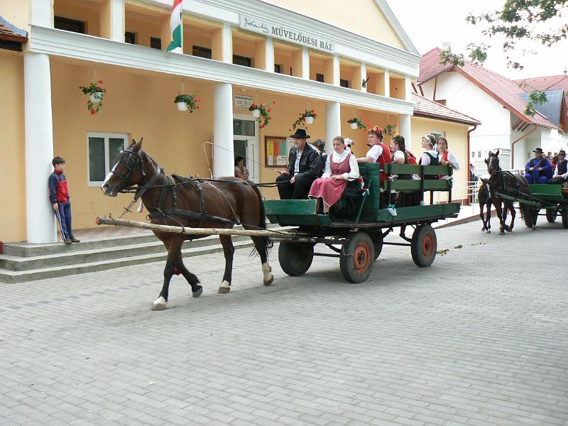Szureti_Felvonulas_2010_037