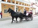 Szureti_Felvonulas_2010_011