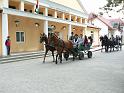 Szureti_Felvonulas_2010_012