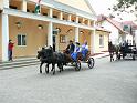 Szureti_Felvonulas_2010_016