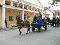 Szureti_Felvonulas_2010_028