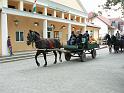 Szureti_Felvonulas_2010_035