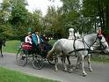 Szureti_Felvonulas_2010_047