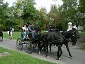 Szureti_Felvonulas_2010_048