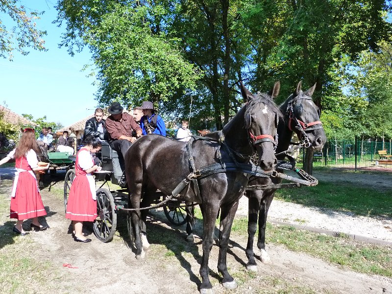 P1090310