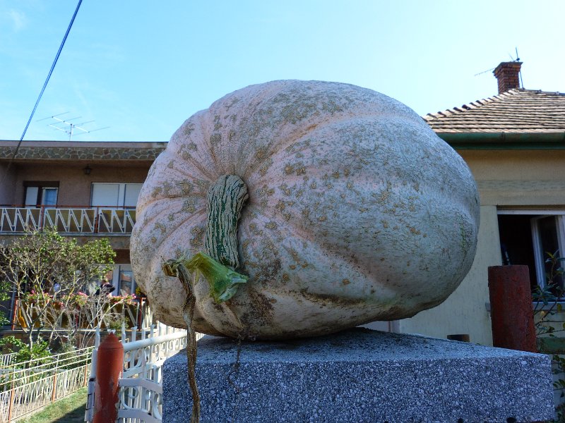 P1090373