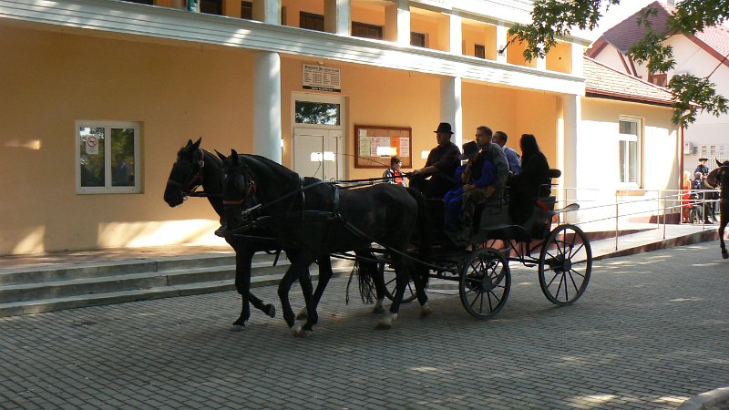 P1230779