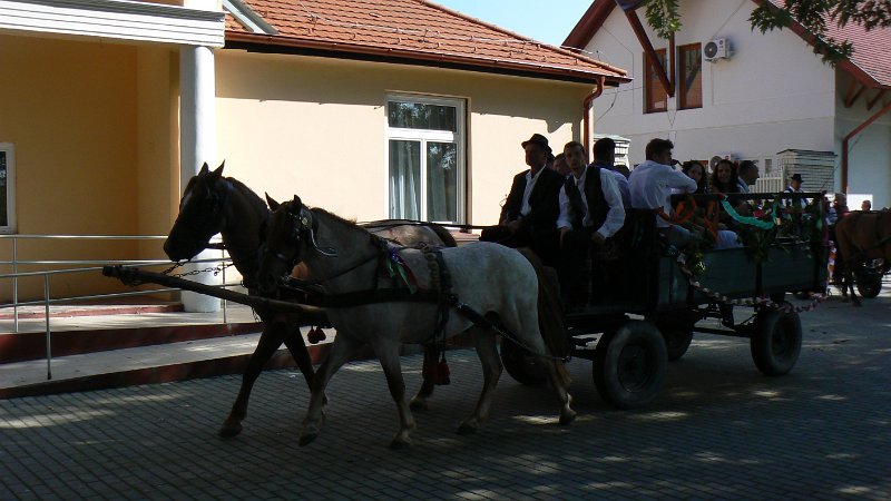 P1230782